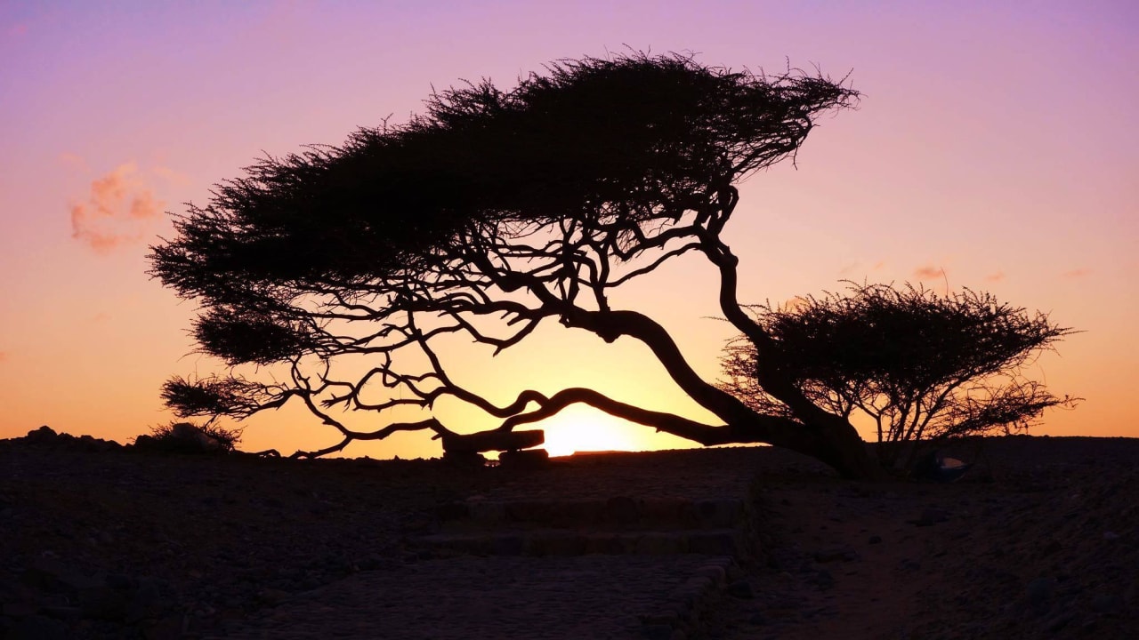 Sonnenuntergang Shams Alam Beach Resort