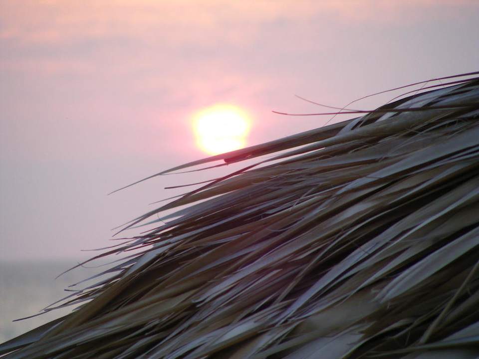 Sonnenuntergang Starfish Cuatro Palmas