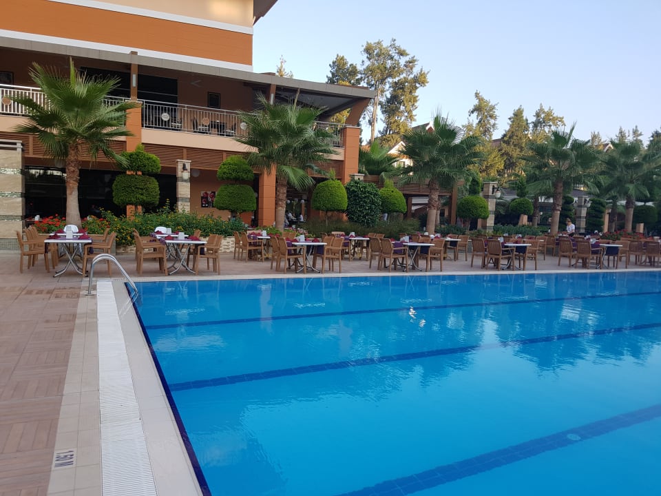 Pool Dizalya Palm Garden