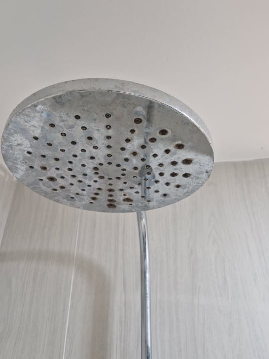 Zimmer Hotel RF San Borondon