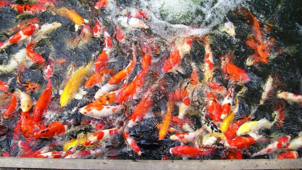 Koiteich Hotel Lanta Sand Resort & Spa