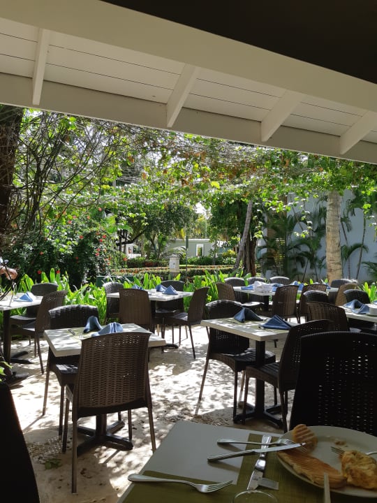 Gastro Wyndham Alltra Samana