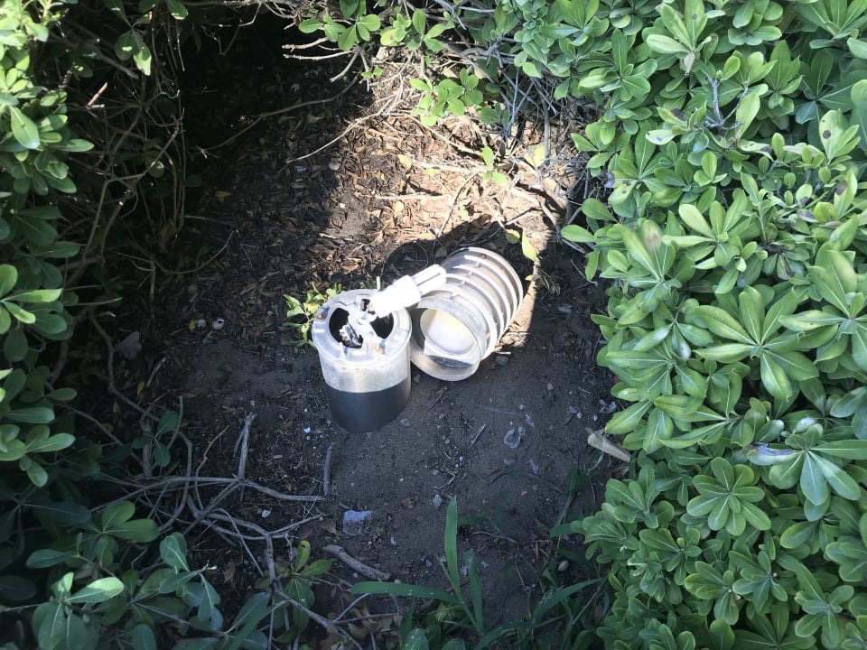 Sonstiges Asteria Family Belek