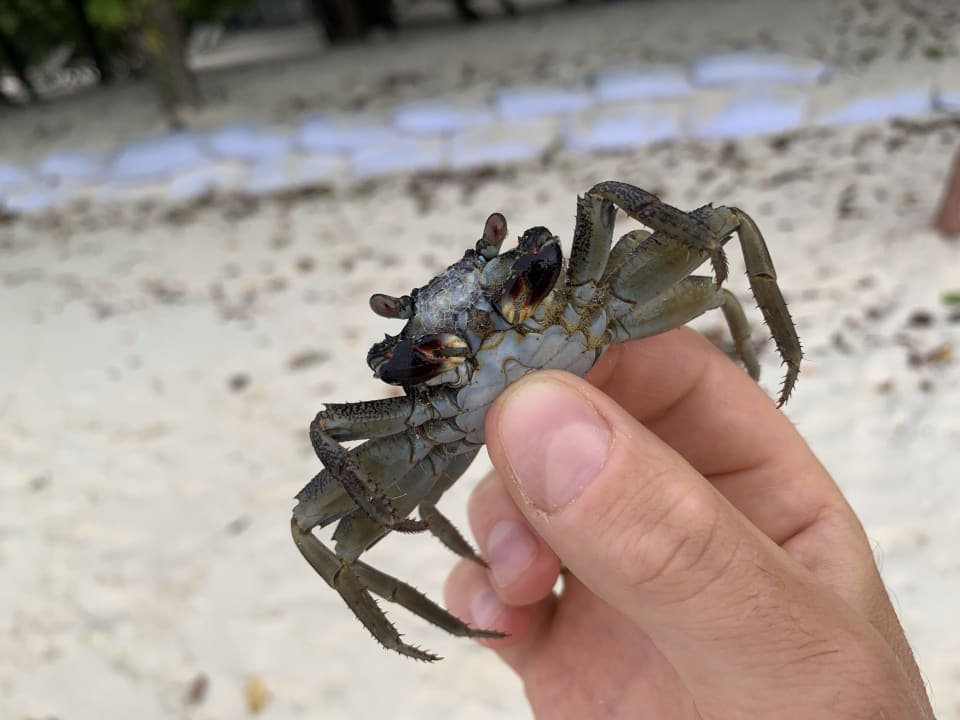 Strand Adaaran Select Meedhupparu Island Resort - Premium All Inclusive