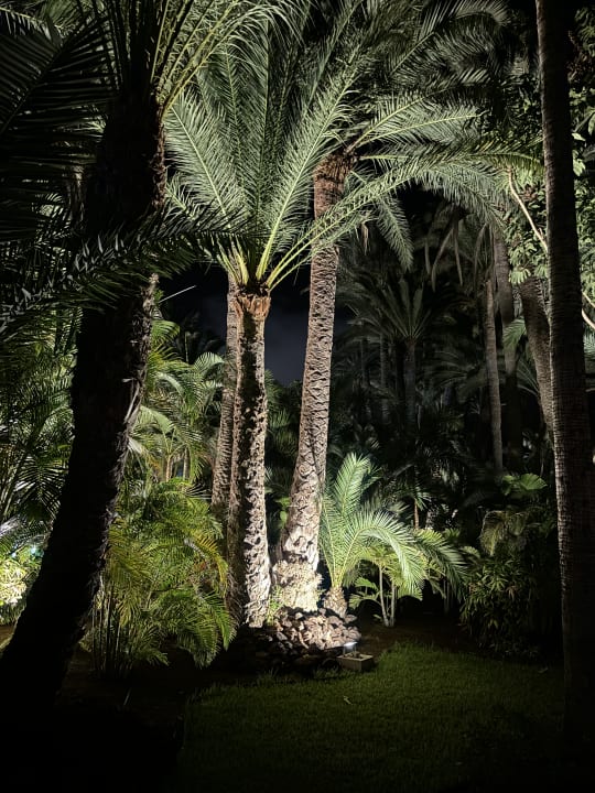 Gartenanlage Hotel Riu Palace Oasis