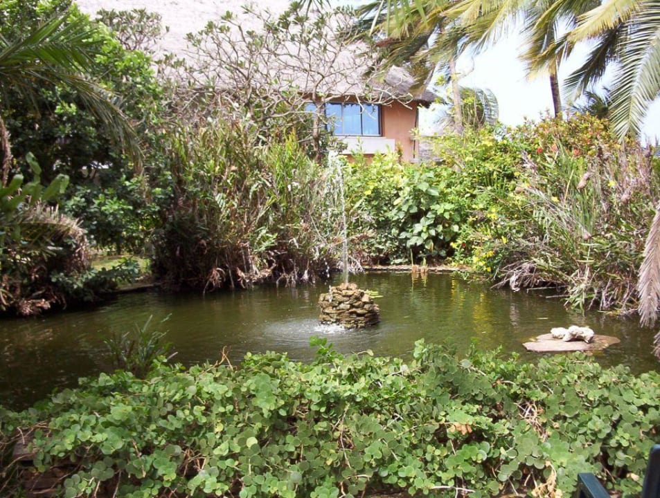 Sehr schöner Gartenteich in der Hotelanlage Bahari Beach Hotel