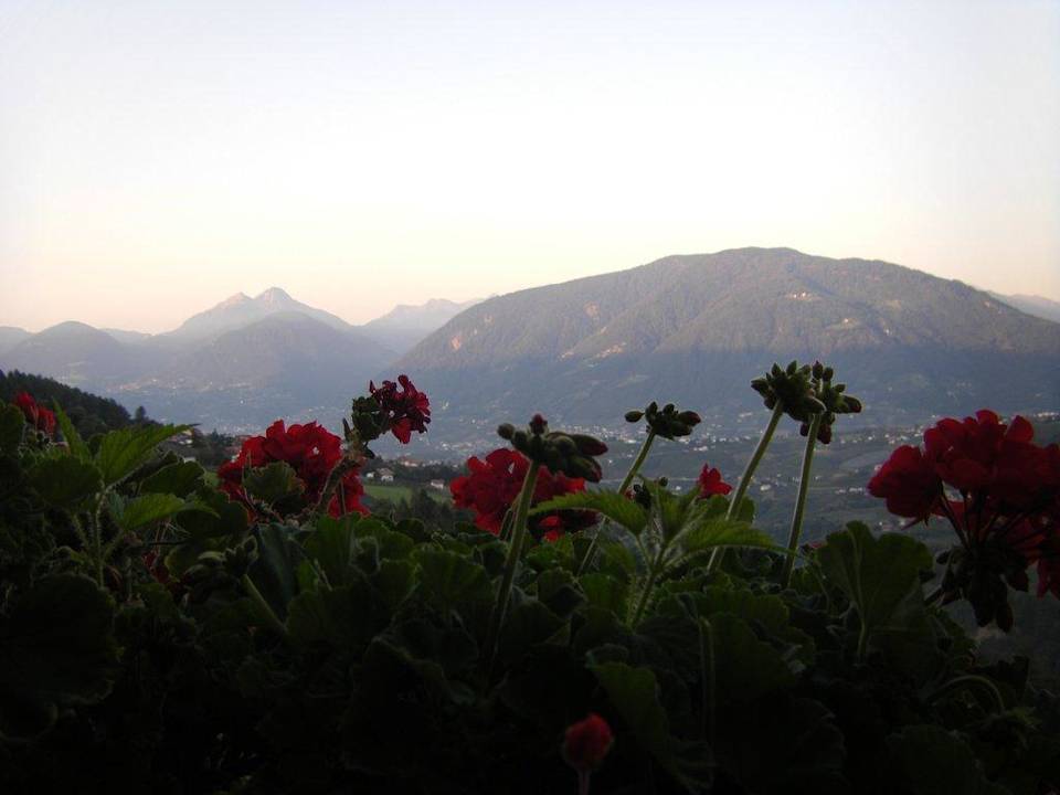 Balkonblick bei Sonnenaufgang Hotel Panorama