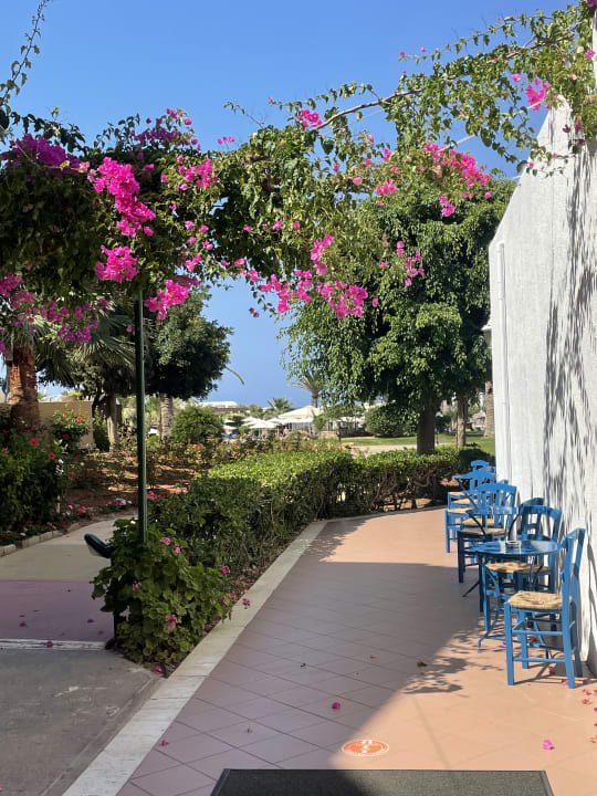 Gartenanlage Anissa Beach & Village