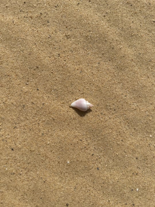 Strand True Beach Resort