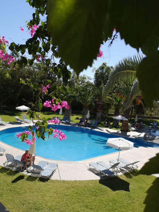 Pool Ekaterini Hotel