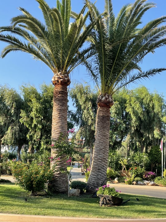 Gartenanlage Anissa Beach & Village