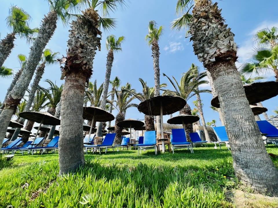 Gartenanlage The GrandResort By Leonardo Hotels