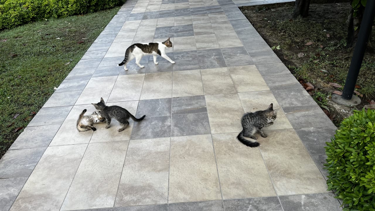 Sonstiges Sunis Kumköy Beach Resort Hotel & Spa