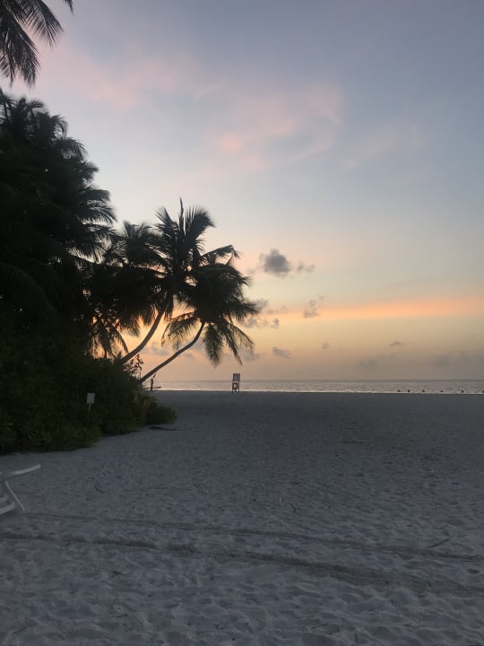 Strand Fihalhohi Maldives