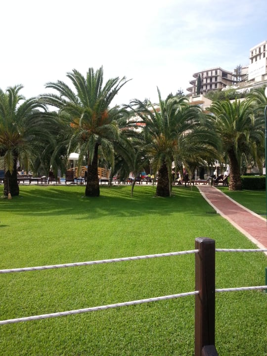 Außenbereich sehr gepflegt, wurde tgl. gemäht  Iberostar Waves Bellevue