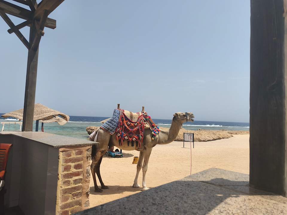 Strand Radisson Blu Resort, El Quseir