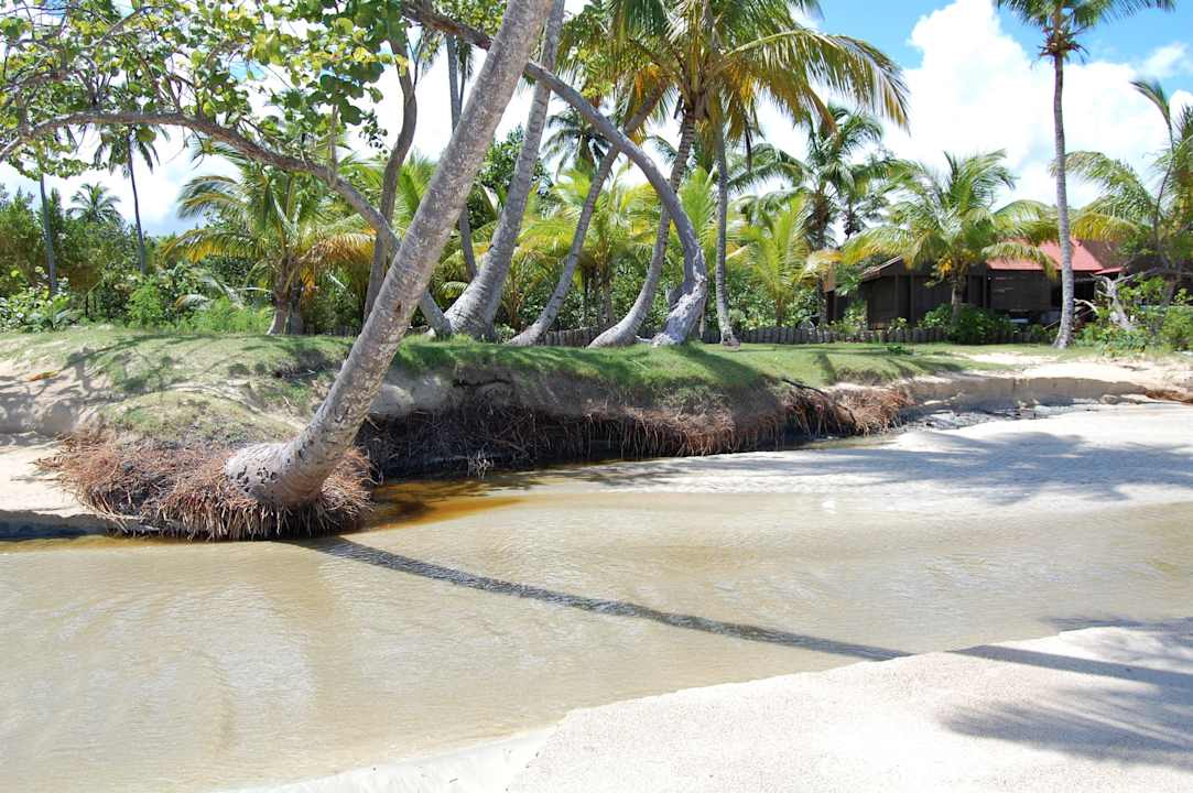 Karibik pur Bahia Principe Grand El Portillo