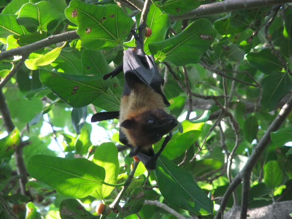 Garten Adaaran Select Hudhuran Fushi - Premium All Inclusive