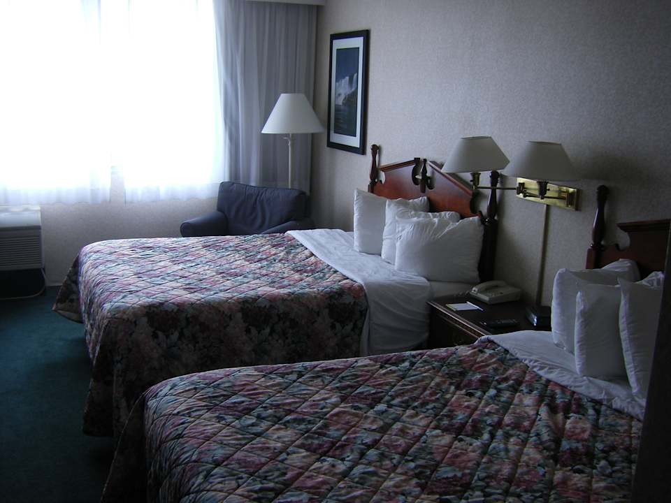 Typische amerikanische Zimmer Wyndham Garden at Niagara Falls