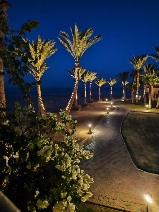 Gartenanlage Steigenberger Coraya Beach - Adults only