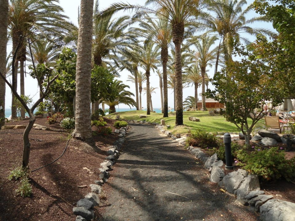 Der Garten hinter dem Pool SBH Hotel Costa Calma Palace