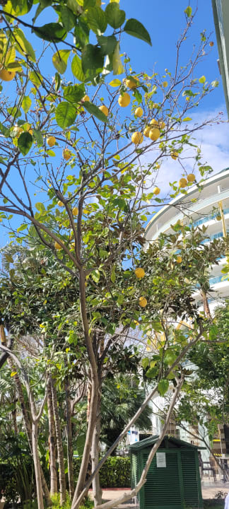 Gartenanlage Hotel Delphin Imperial