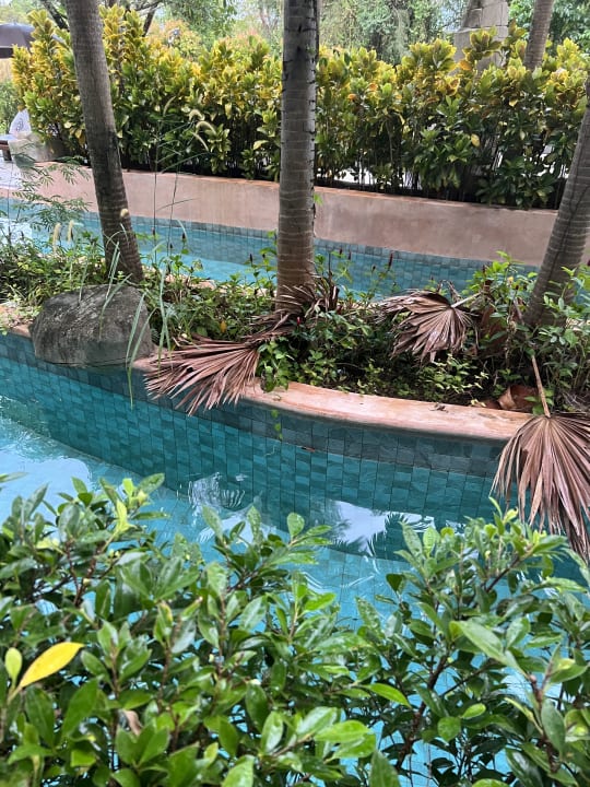 Pool Maikhao Palm Beach Resort