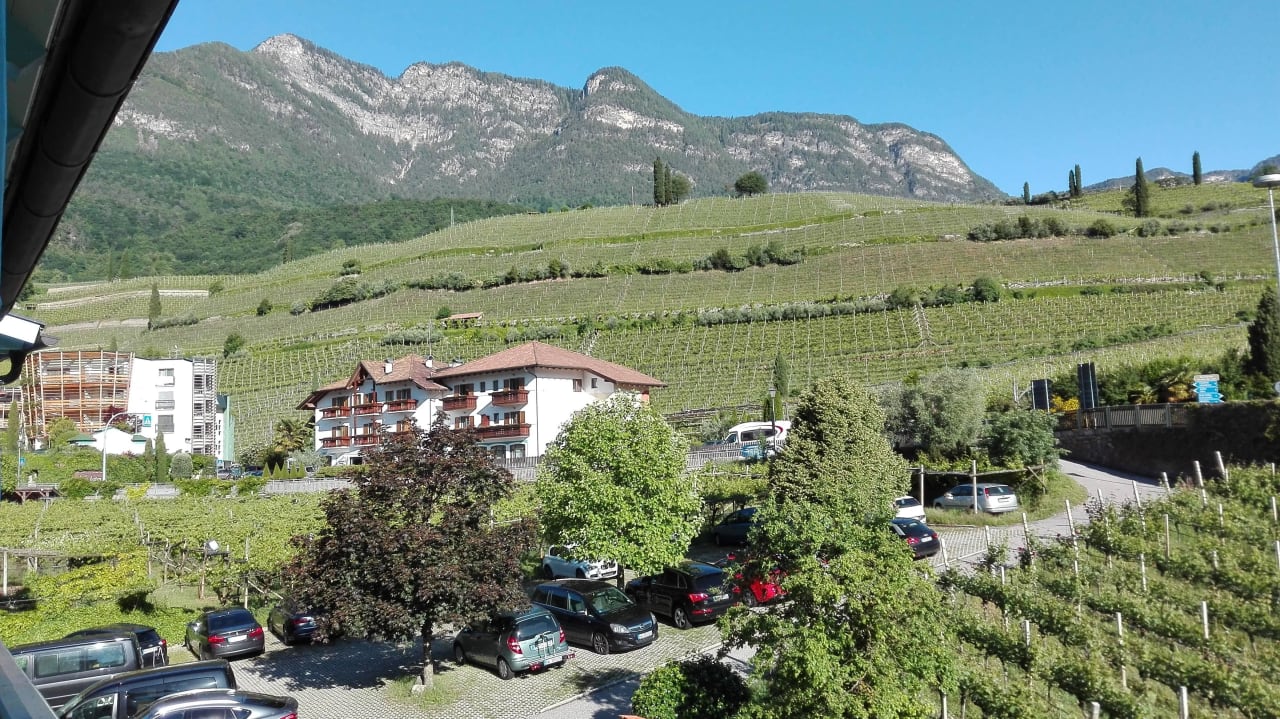 Zimmerblick auf die Weinberge Hotel Thalhof am See