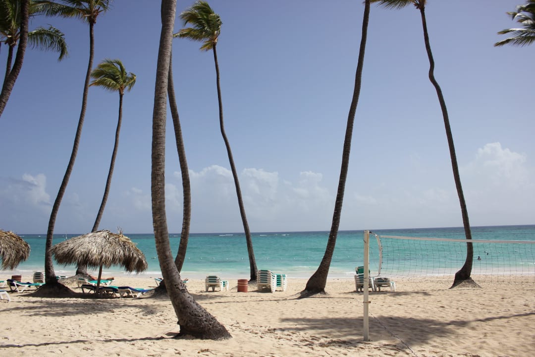 Morgens ein herrlicher Anblick Grand Palladium Punta Cana Resort & Spa