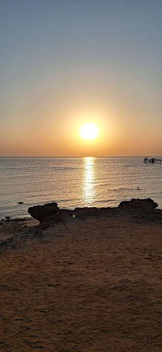 Strand Pickalbatros Oasis Hotel - Port Ghalib