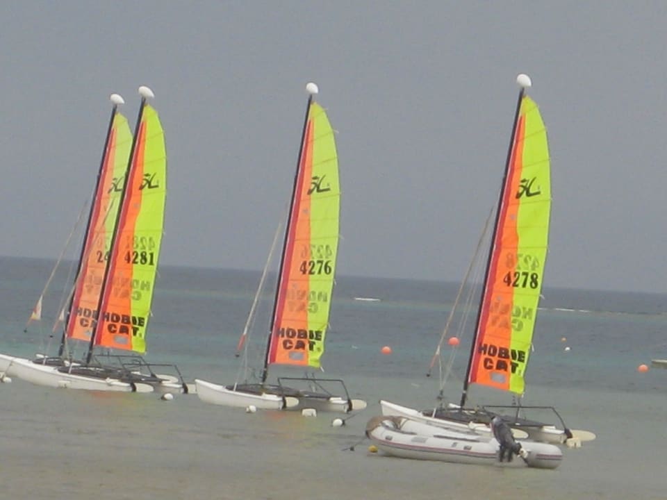 Surfing am Strand von Makadi Bay Cleopatra Luxury Resort Makadi Bay