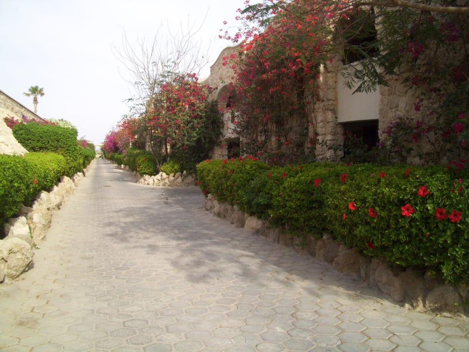 Building 6 Pickalbatros Citadel Resort