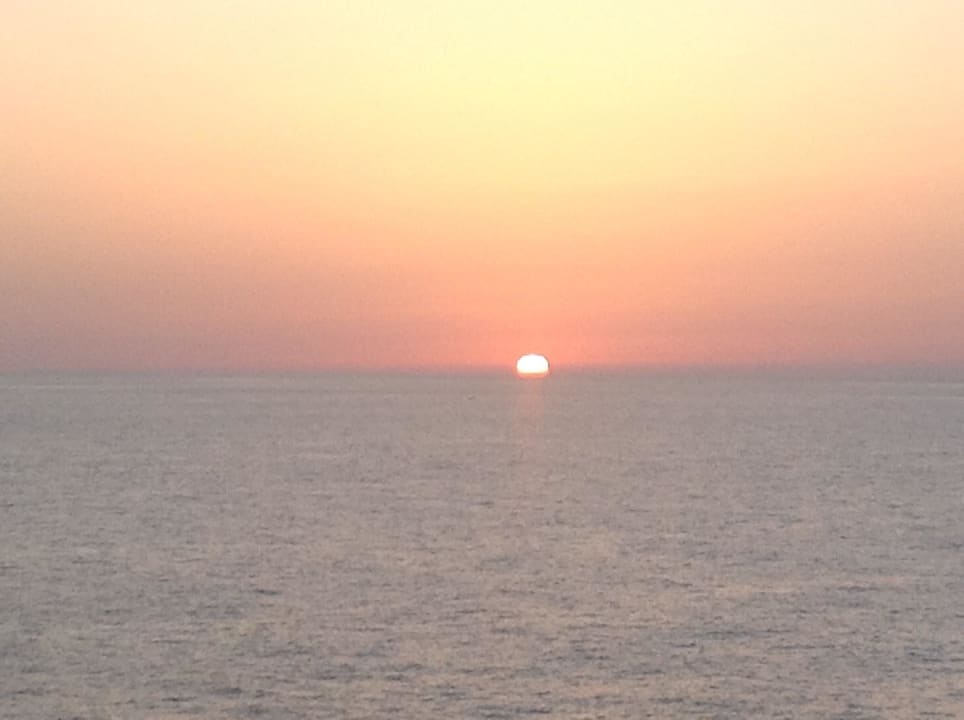 Majestuoso blau punta reina