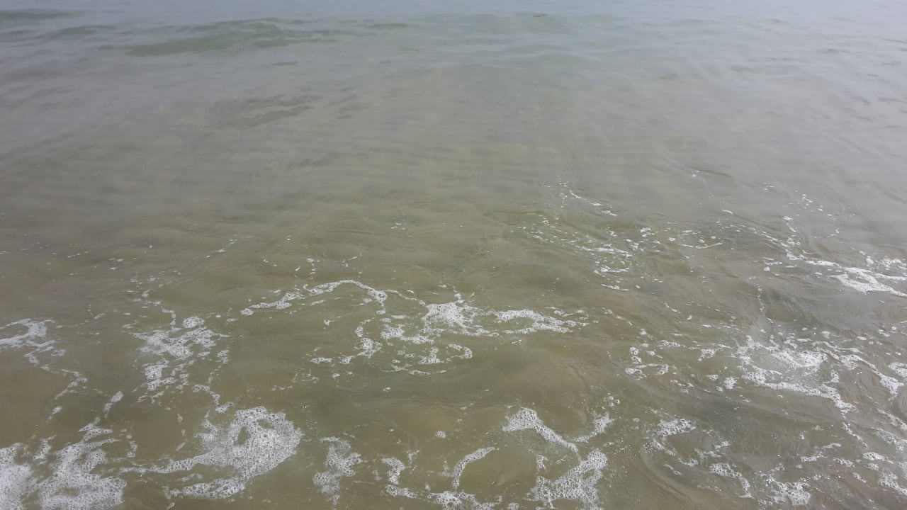 Meer Odessos Park Hotel