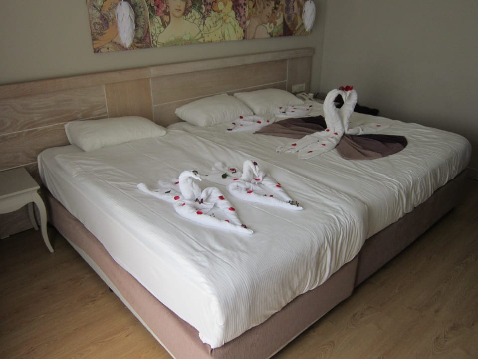 Pokoj Seaden Sea Planet Resort & Spa