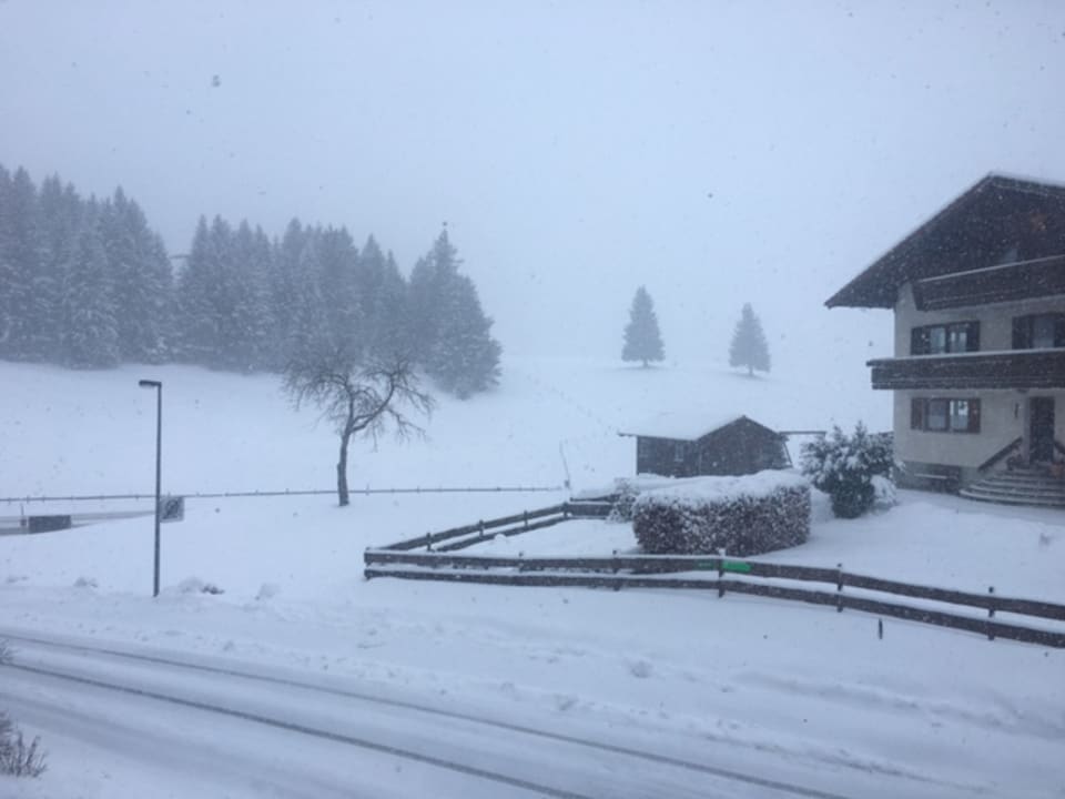 Ausblick Der Bären