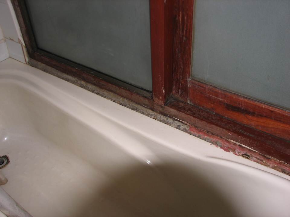 Bad Hotel Elephant Crossing