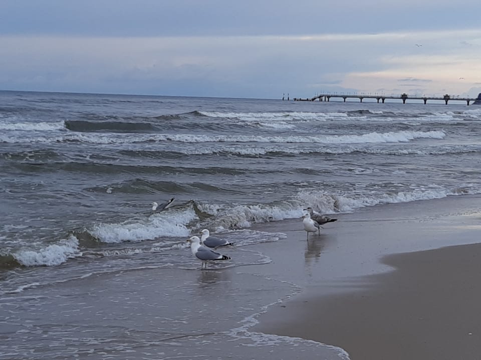 Strand Ferienanlage Wypoczynku I Odnowy Biologicznej SPA Baginski & Chabinka