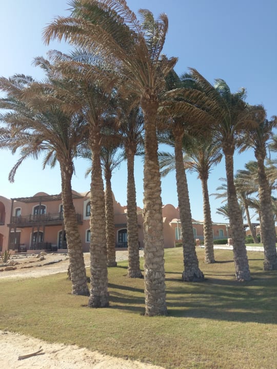 Gartenanlage Radisson Blu Resort, El Quseir
