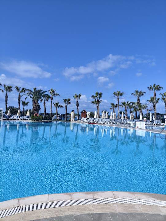 Pool Hotel Botanik Platinum