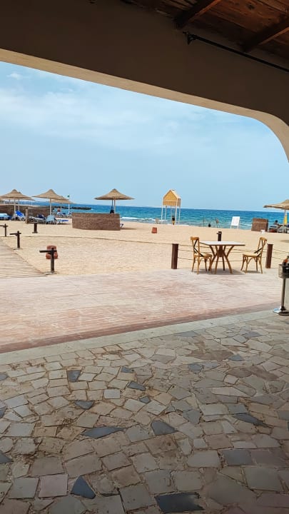 Gastro Calimera Blend Paradise