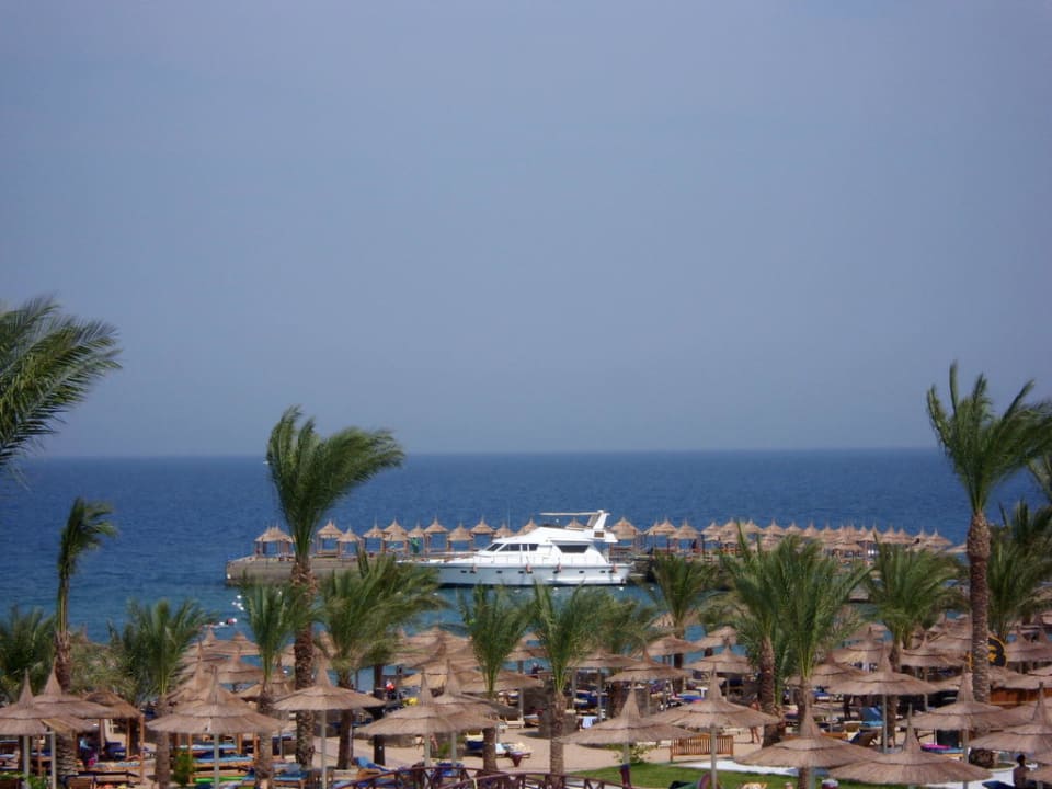 Etwas windig Beach Albatros Resort