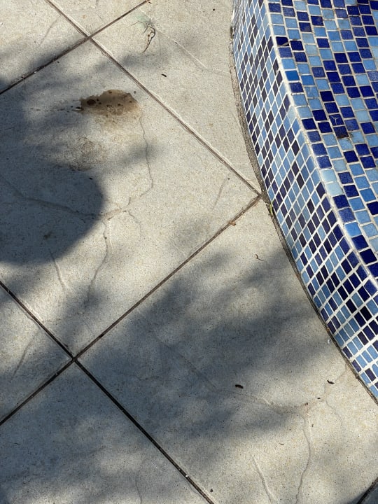 Pool Iberostar Waves Bellevue