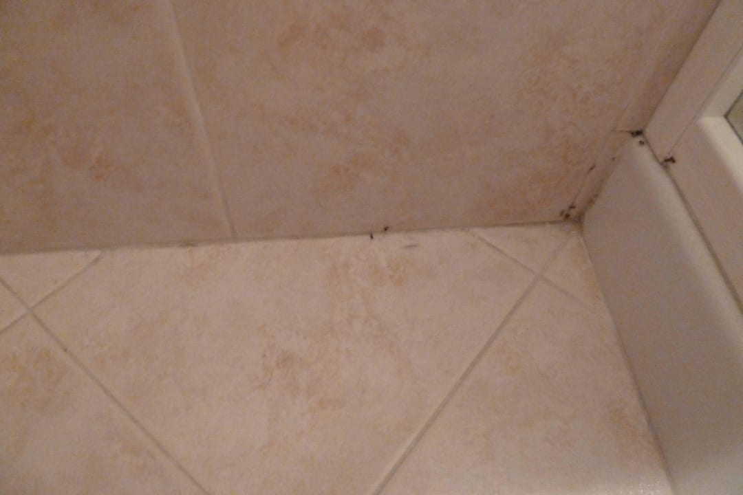 Ameisen Residence La Rotonda