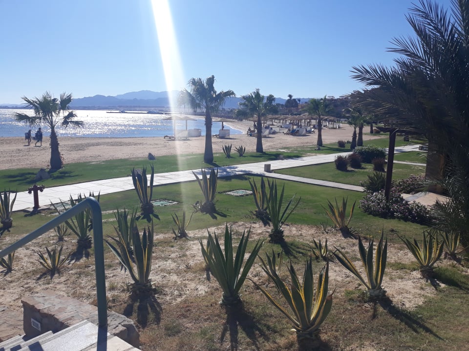 Gartenanlage Shams Prestige Abu Soma-Adults Only