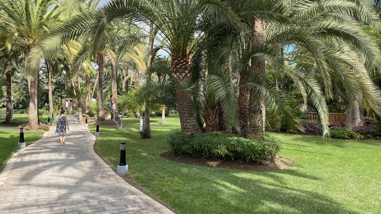 Gartenanlage Hotel Riu Palace Oasis