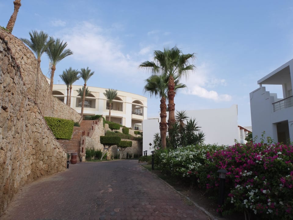 Вид на главный корпус и ресторан Renaissance Sharm El Sheikh Golden View Beach Resort