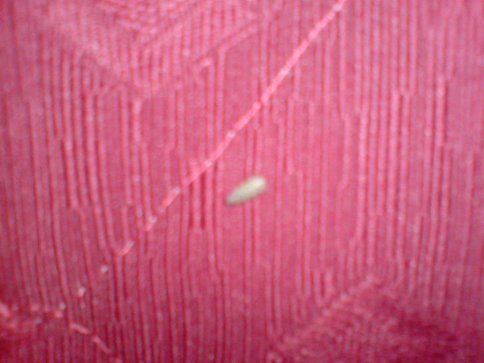 Betthüpferl HARPIN Georgioupolis Resort Aquapark & SPA