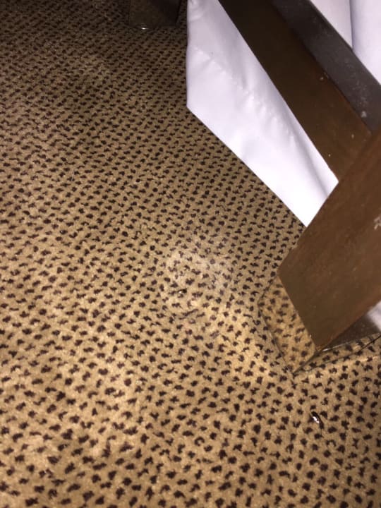 Zimmer Four Points by Sheraton Phoenix South Mountain