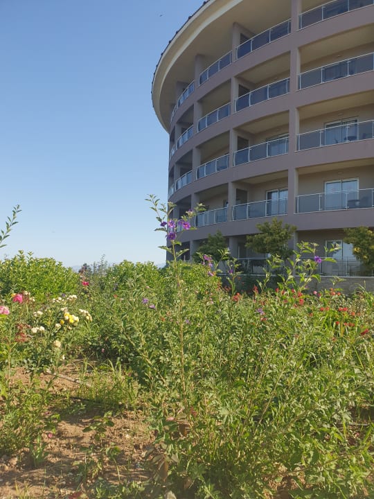 Gartenanlage Sunmelia Beach Resort